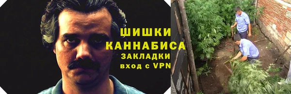 стафф Козловка