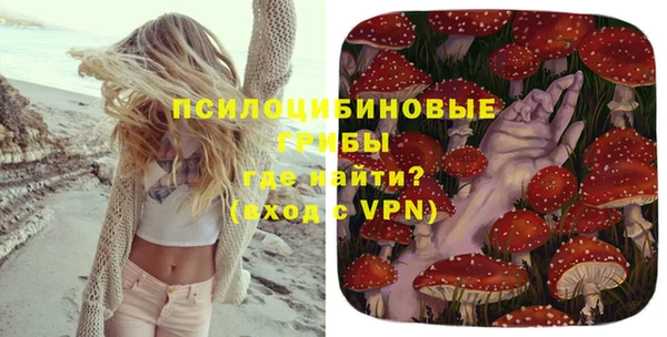 первитин Кодинск
