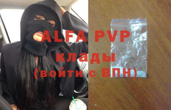 стафф Козловка