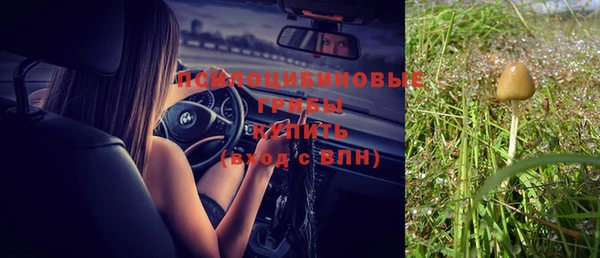 первитин Кодинск