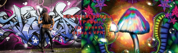 стафф Козловка