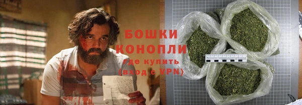 стафф Козловка