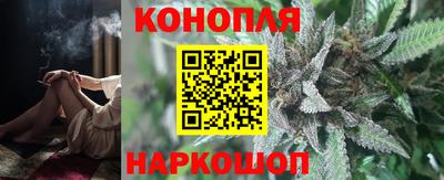 мдпв Гатчина