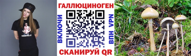OMG рабочий сайт  купить наркотик  Костомукша  Галлюциногенные грибы ЛСД 