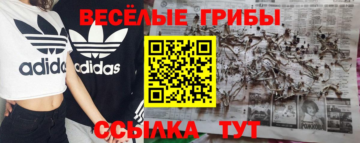 Галлюциногенные грибы прущие грибы Костомукша