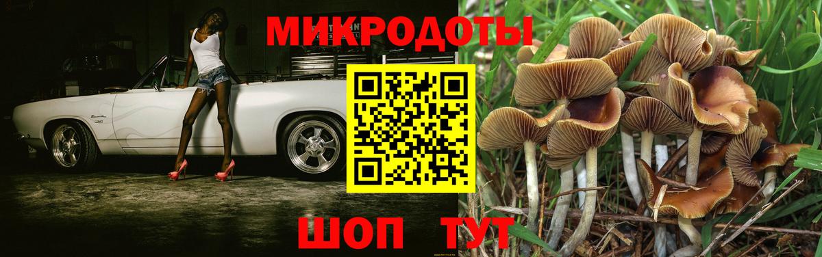 Костомукша  Псилоцибиновые грибы мухоморы  Вход с VPN 