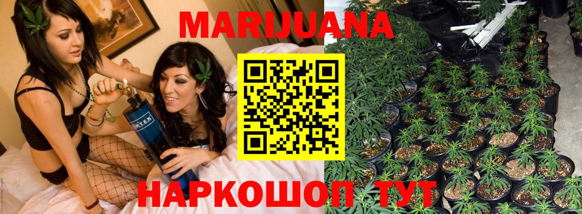 Шишки марихуана конопля Костомукша